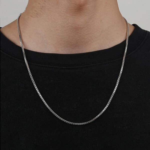 Pure Silver Necklace on neck 2