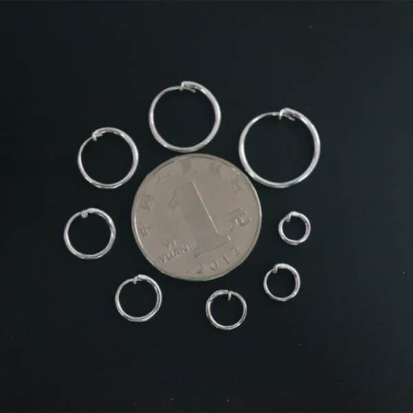 hoop earrings silver small with a coin